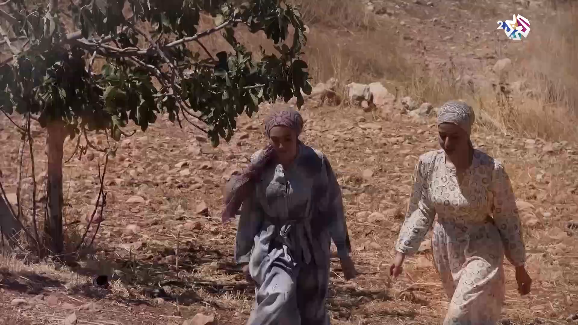 Watch Al Araby TV 2