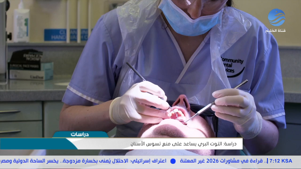 Watch Al Khalij TV