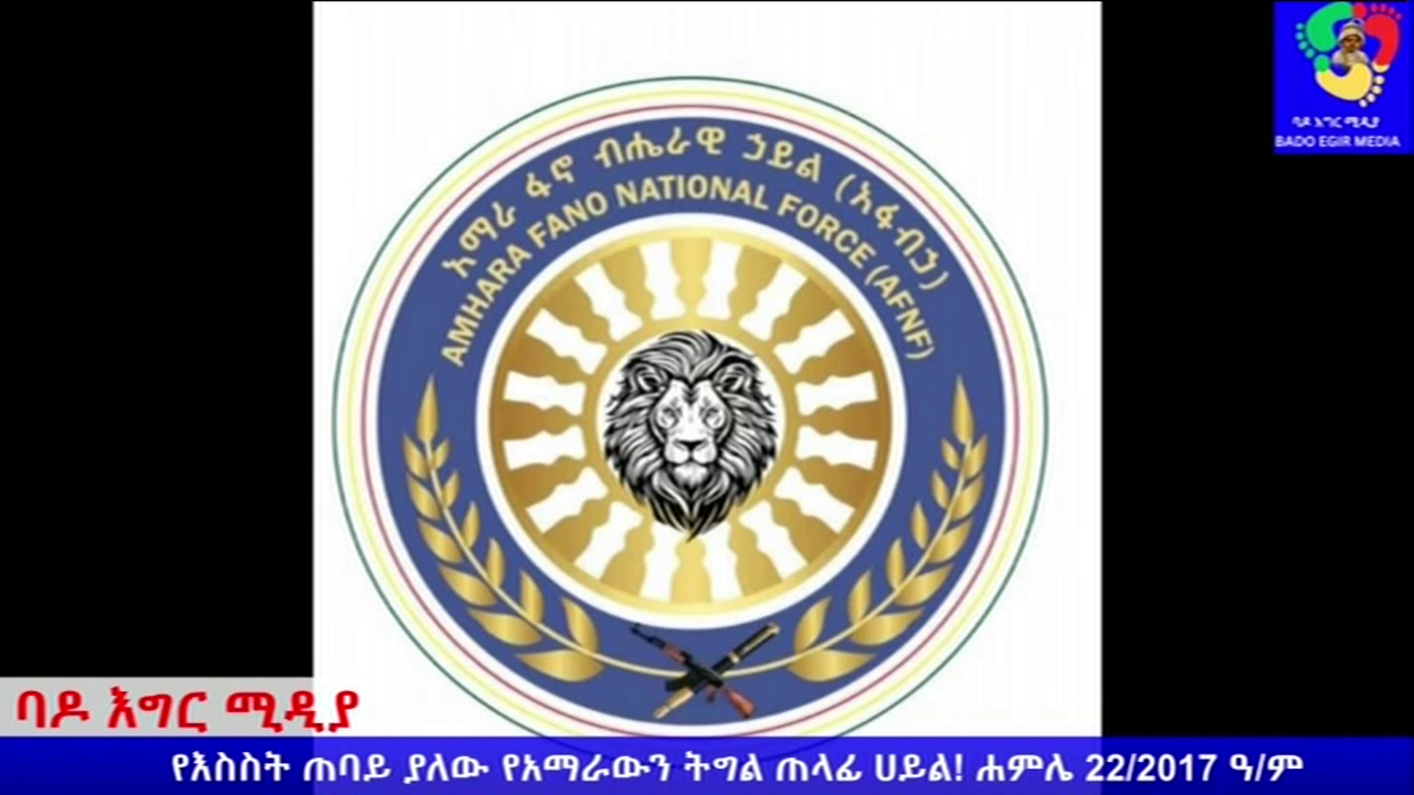 Watch Mereja TV